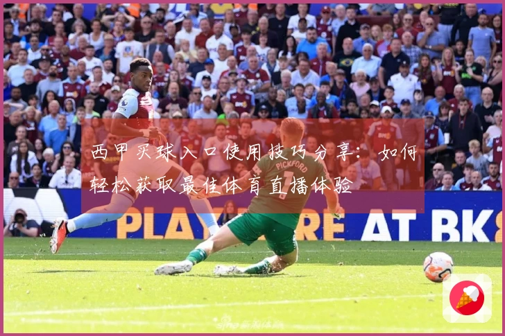 西甲买球入口使用技巧分享：如何轻松获取最佳体育直播体验