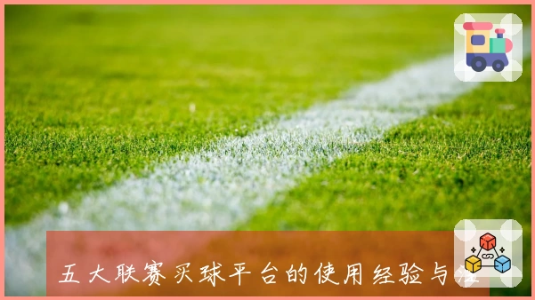 五大联赛买球平台的使用经验与注册流程详解